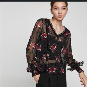 Zara Semi-Sheer Top